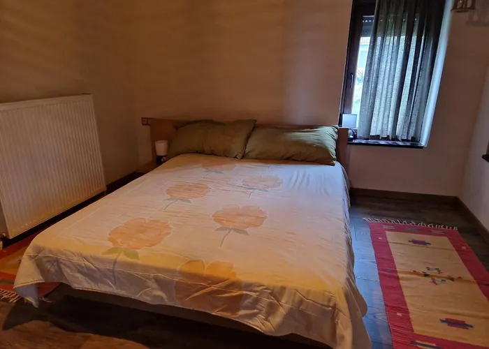 Sunflower Apartment
